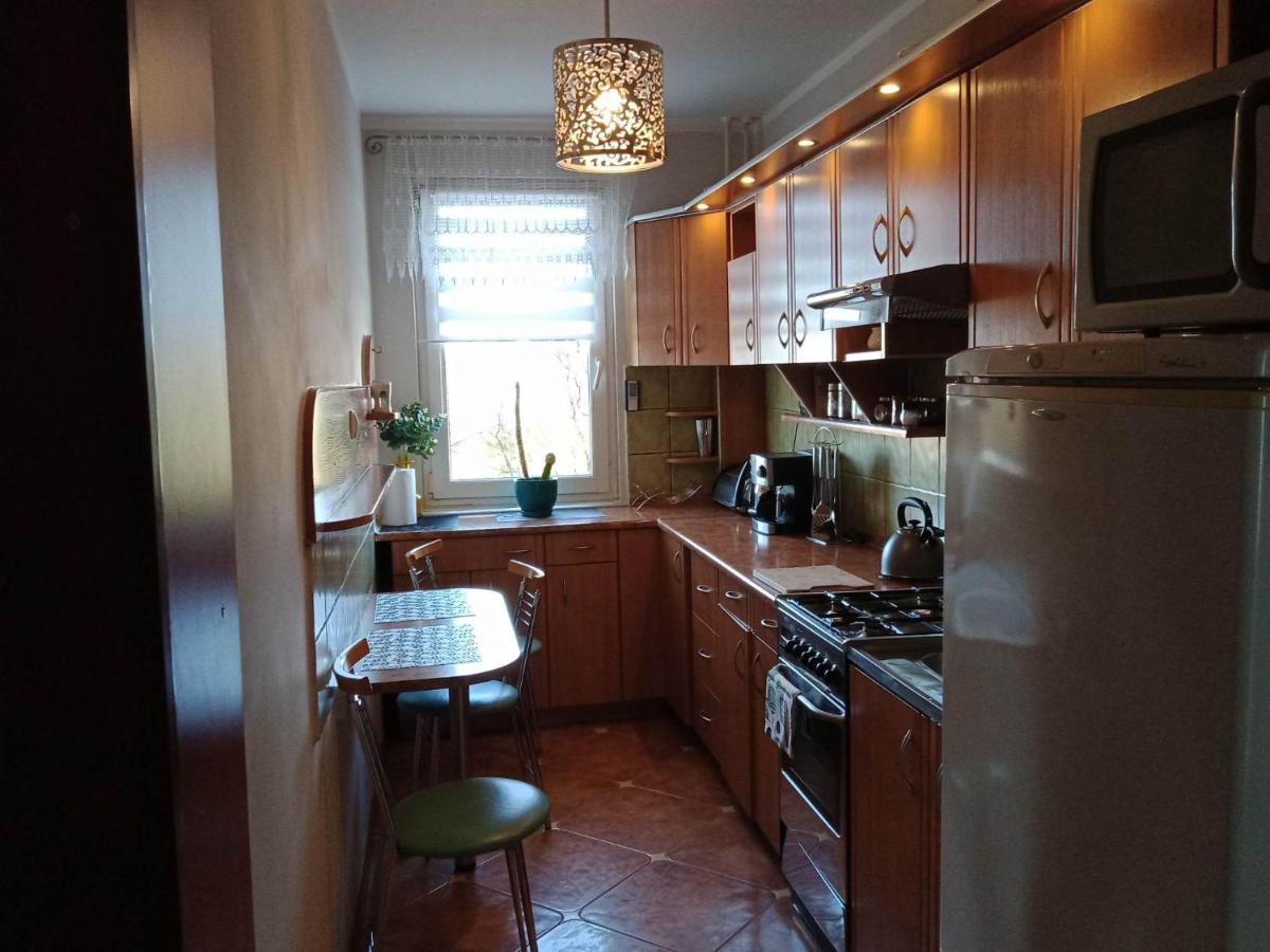 Apartament Na Ogrodach 科沃布热格 外观 照片